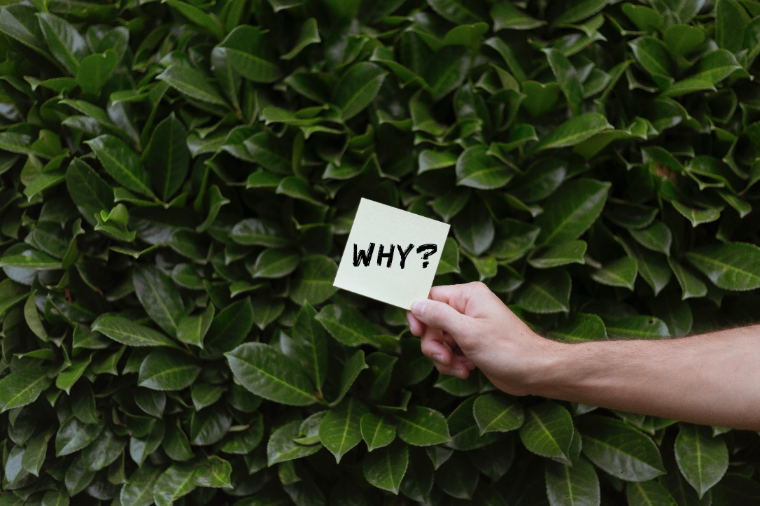 question questions about immigration